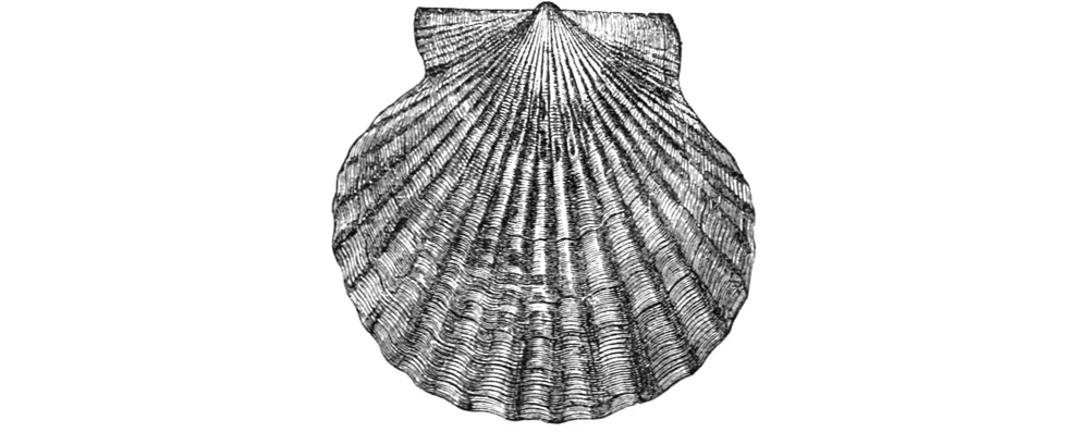 Another post about shell syntax!
